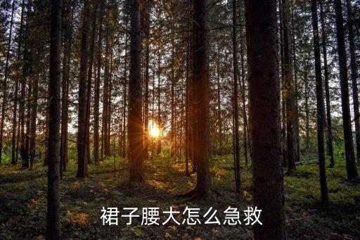  裙子腰大怎么急救