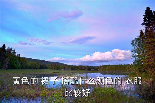 黄色的 裙子 搭配什么颜色的 衣服比较好