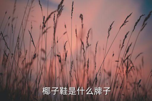  椰子鞋是什么牌子
