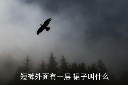  短裤外面有一层 裙子叫什么