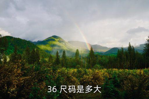 36 尺码是多大