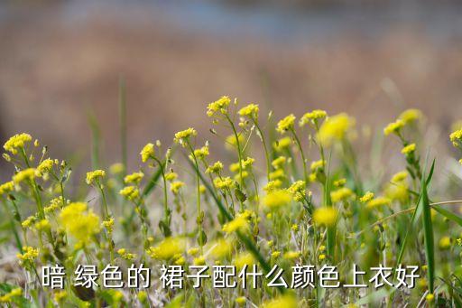 暗 绿色的 裙子配什么颜色上衣好