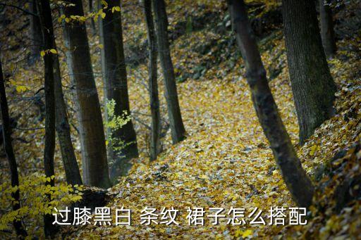 过膝黑白 条纹 裙子怎么搭配