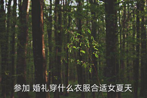 参加 婚礼穿什么衣服合适女夏天