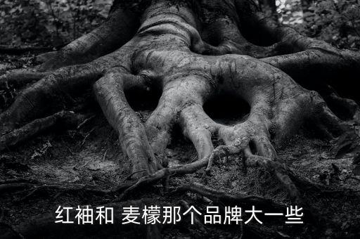 mm品牌女装裙子麦檬,杭州麦檬专柜命名为檬-2//