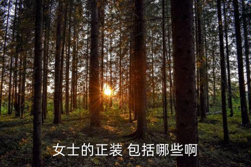 女士的正装 包括哪些啊