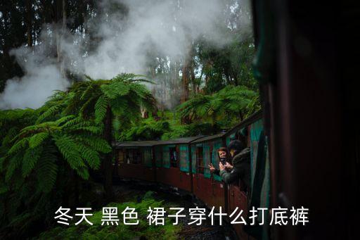  冬天 黑色 裙子穿什么打底裤
