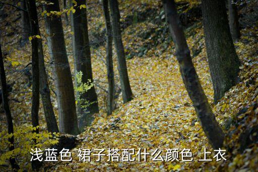 浅色裙子配什么上衣,潮流服饰搭配心情笔记本分享潮流