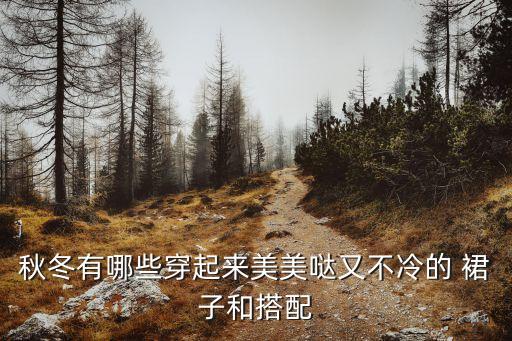 秋冬有哪些穿起来美美哒又不冷的 裙子和搭配