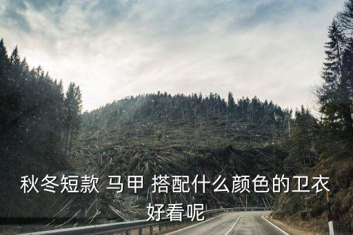 秋冬短款 马甲 搭配什么颜色的卫衣好看呢