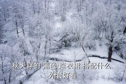 秋天穿的 黑色 连衣裙 搭配什么 外套好看