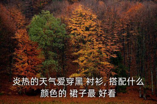 衬衫搭配哪种裙子好看,牛仔衬衫搭配裙子