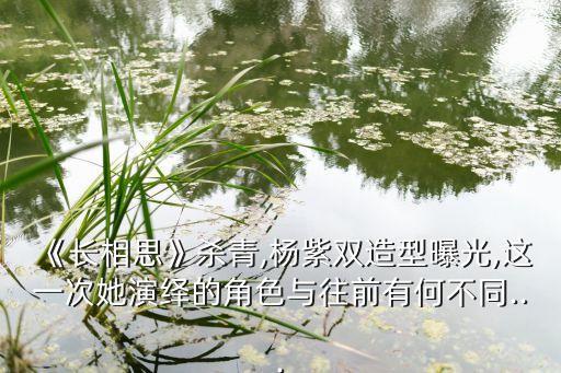 杨紫穿搭红色裙子图片