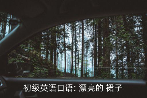 初级英语口语: 漂亮的 裙子