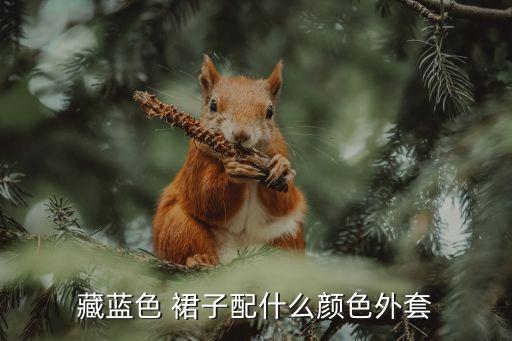 藏蓝色 裙子配什么颜色外套