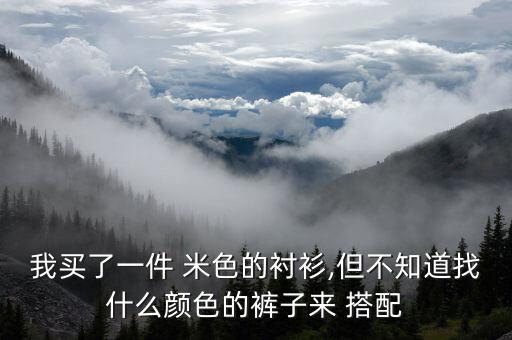 我买了一件 米色的衬衫,但不知道找什么颜色的裤子来 搭配