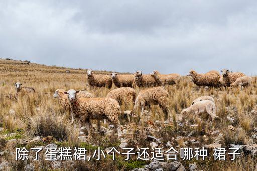 除了蛋糕裙,小个子还适合哪种 裙子