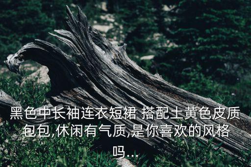 黑色中长袖连衣短裙 搭配土黄色皮质 包包,休闲有气质,是你喜欢的风格吗...