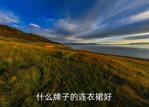 什么牌子的连衣裙好