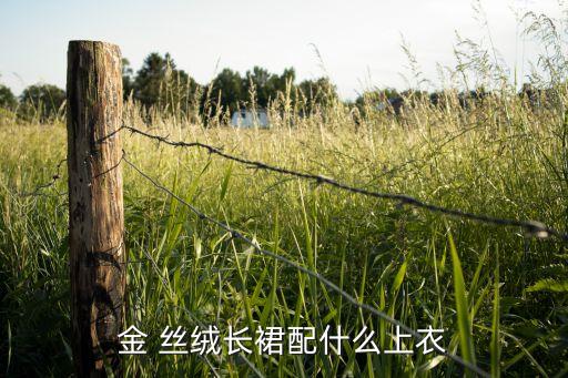 金丝绒裙子时尚洋气穿搭