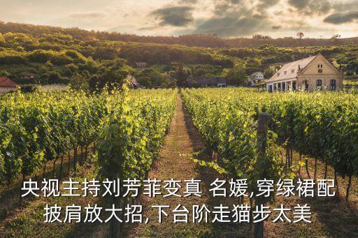 央视主持刘芳菲变真 名媛,穿绿裙配披肩放大招,下台阶走猫步太美