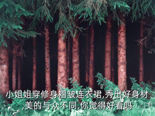 穿搭正式裙子图片,冬季裙子穿搭图片女