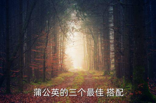  蒲公英的三个最佳 搭配