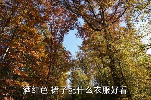 酒红色 裙子配什么衣服好看