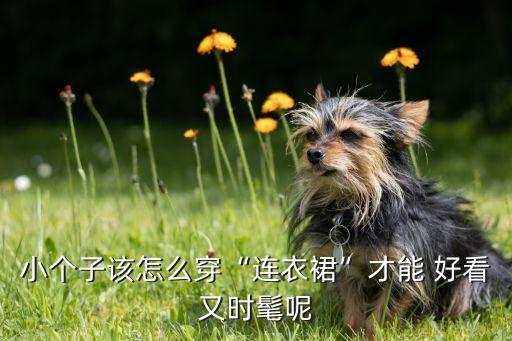 矮个子穿裙子怎样搭配好看,穿裙子搭配运动鞋好看吗