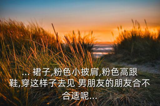 ... 裙子,粉色小披肩,粉色高跟鞋,穿这样子去见 男朋友的朋友合不合适呢...