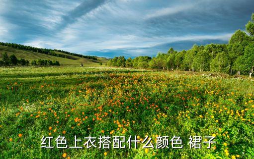  红色上衣搭配什么颜色 裙子