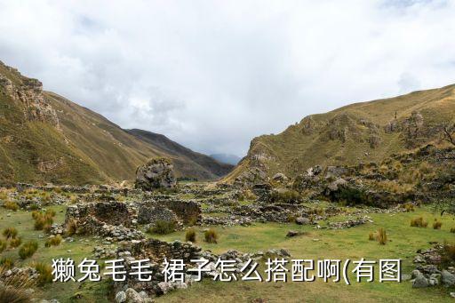 獭兔毛毛 裙子怎么搭配啊(有图