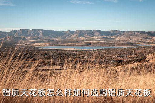 铝扣板颜色搭配裙子,卡其色裙子最佳颜色搭配图片