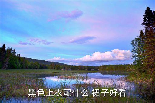 黑色上衣配什么 裙子好看