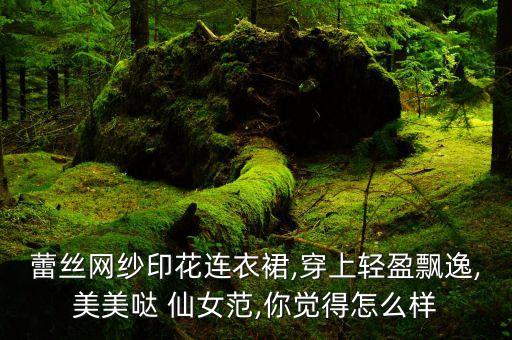 蕾丝网纱印花连衣裙,穿上轻盈飘逸,美美哒 仙女范,你觉得怎么样