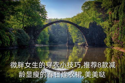  微胖女生的穿衣小技巧,推荐8款减龄显瘦的春日连衣裙,美美哒