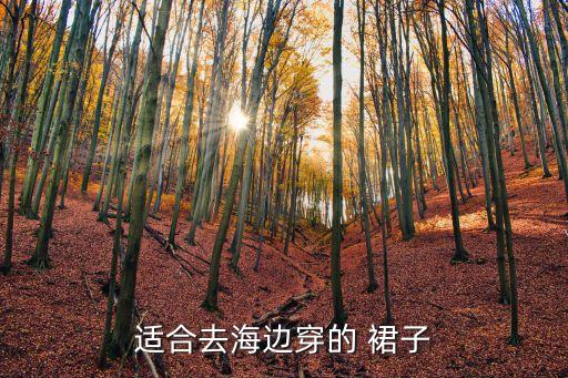 适合去海边穿的 裙子
