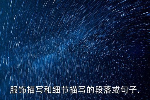 服饰描写和细节描写的段落或句子.