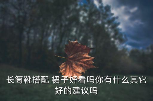 长筒靴搭配 裙子好看吗你有什么其它好的建议吗