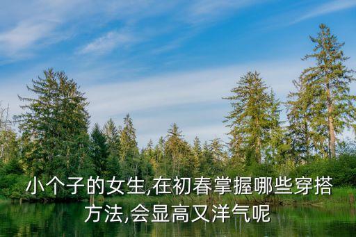 春季小个子长袖裙子搭配,2023最新春季女装小个子裙子