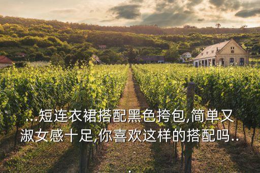 配白裙子的小包包好看吗,白裙子配什么上衣好看