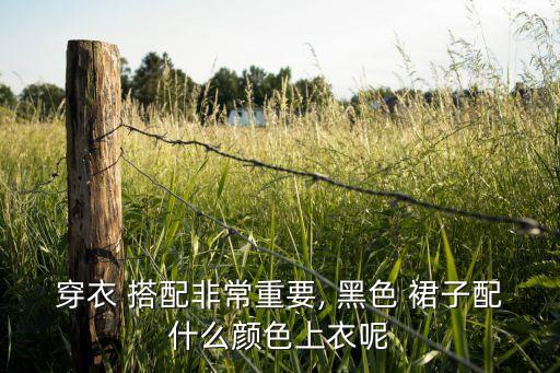 黑色裙子色系搭配,绿色衣服黑色裙子搭配啥色鞋