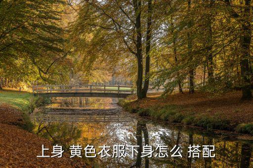 上身 黄色衣服下身怎么 搭配