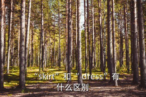 “skirt”和“ dress”有什么区别