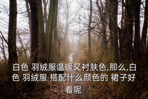 白色 羽绒服温暖又衬肤色,那么,白色 羽绒服 搭配什么颜色的 裙子好看呢