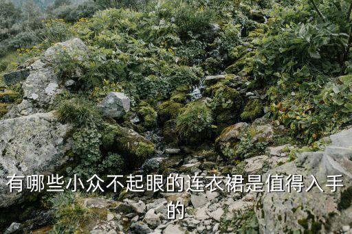有哪些小众不起眼的连衣裙是值得入手的
