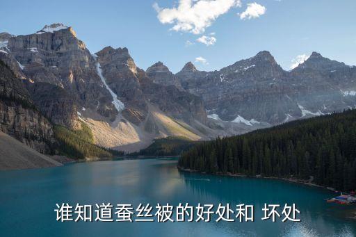 谁知道蚕丝被的好处和 坏处