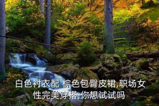 白色衬衣配 棕色包臀皮裙,职场女性完美穿搭,你想试试吗