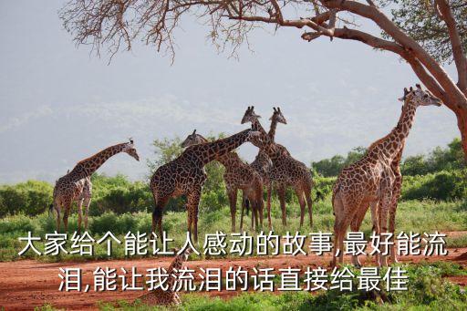 大家给个能让人感动的故事,最好能流泪,能让我流泪的话直接给最佳