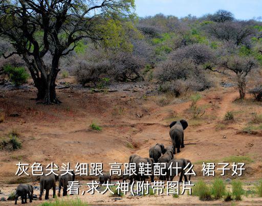能搭配高跟鞋的小裙子图,黑色裙子搭配白色高跟鞋好看吗